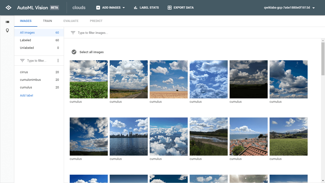 Classify Images with AutoML Vision