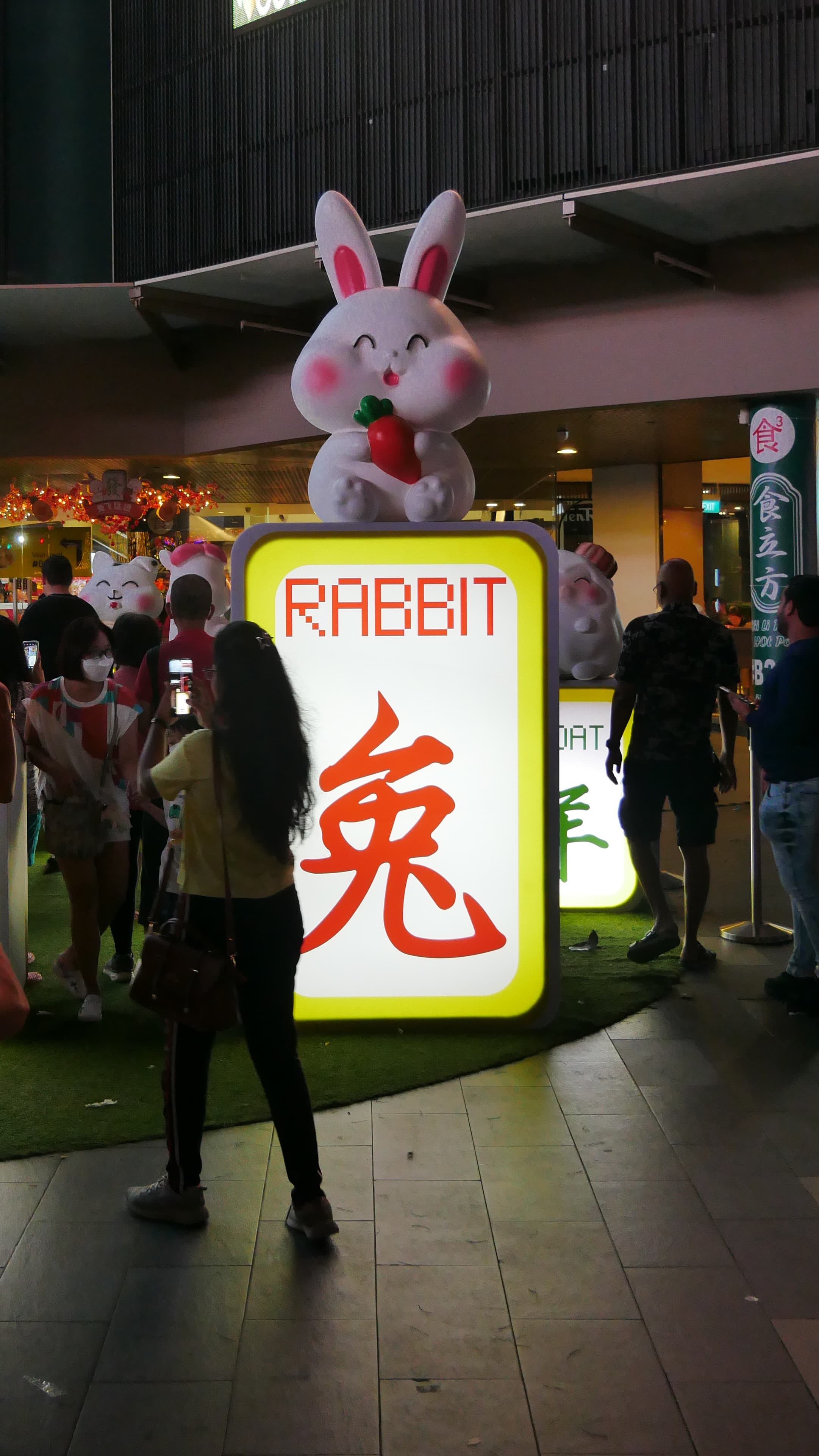 2023 Year of Rabbit in Digital Analytics